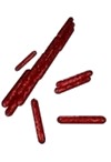 mycobacteria